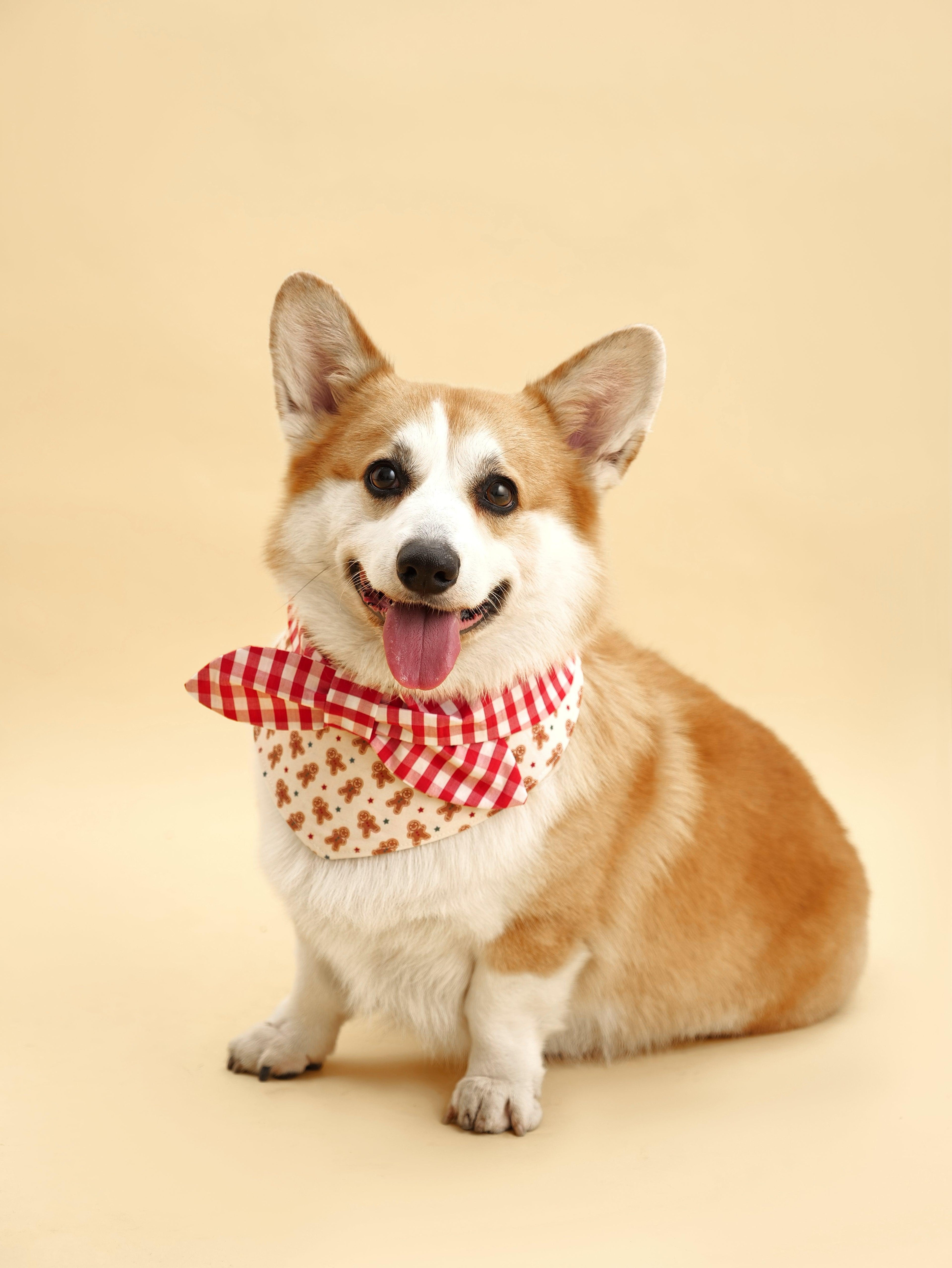 Christmas Morning Gingerbread Man Gingham Print Handmade Bandana
