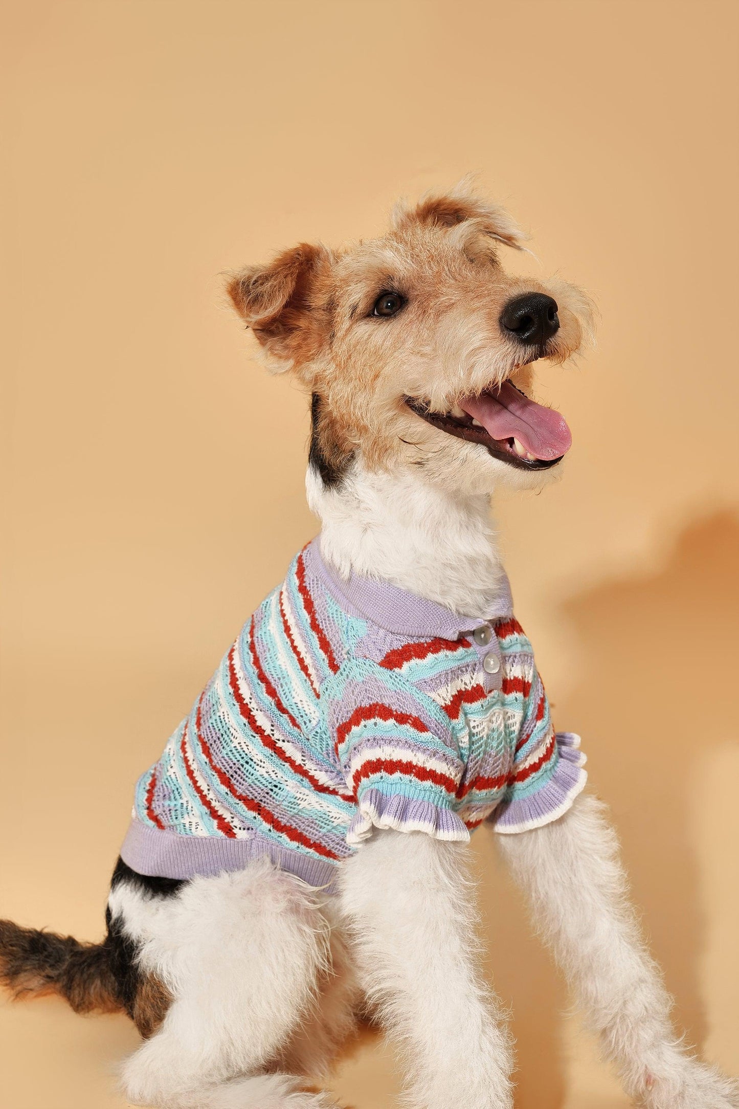 Pet & Me Spring Summer Lavender Ruffle Crochet Short Sleeve Polo Shirt detail view | Cutie Paw Co.