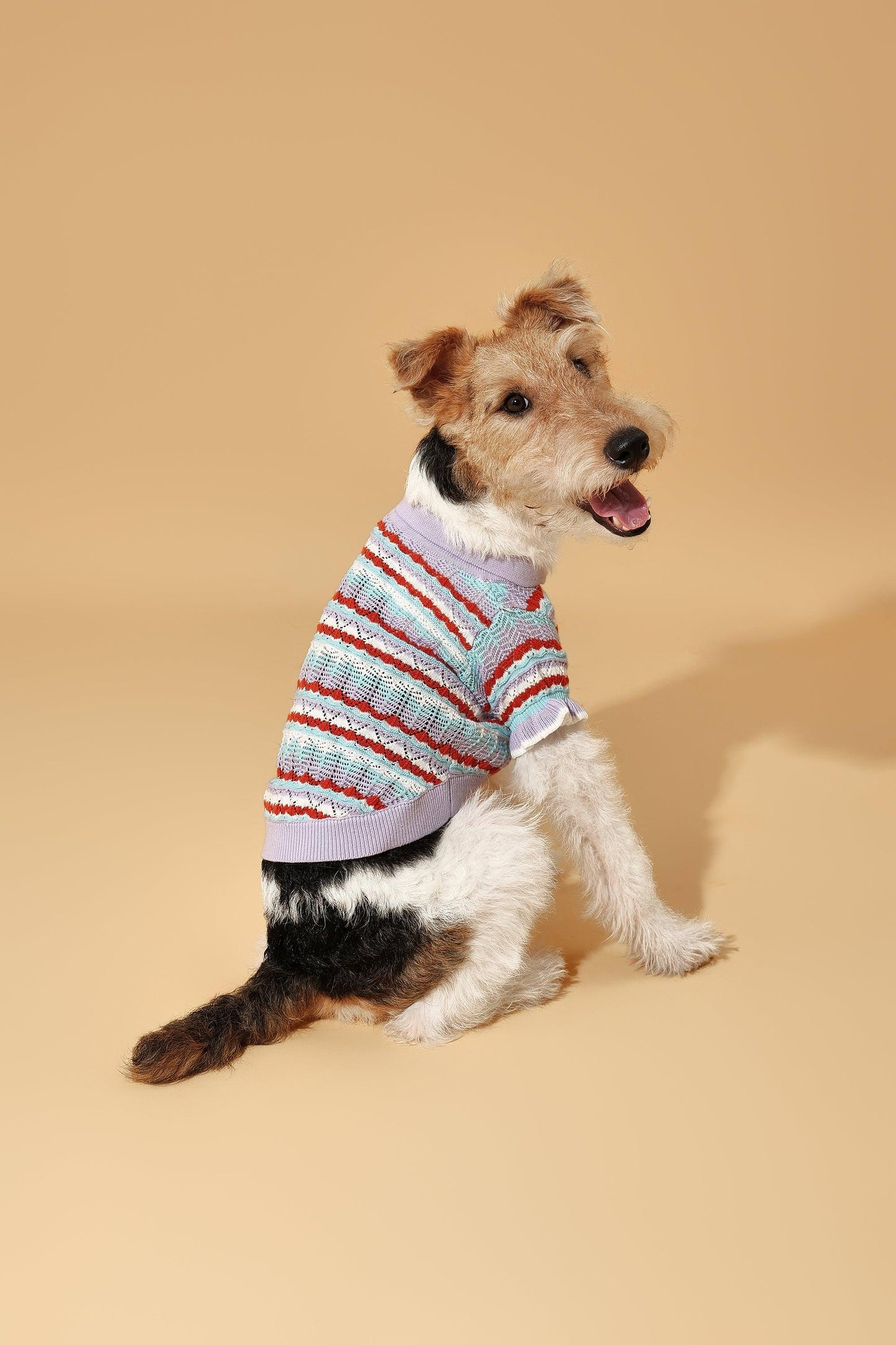 Pet & Me Spring Summer Lavender Ruffle Crochet Short Sleeve Polo Shirt on dog — pet accessory close-up | Cutie Paw Co.