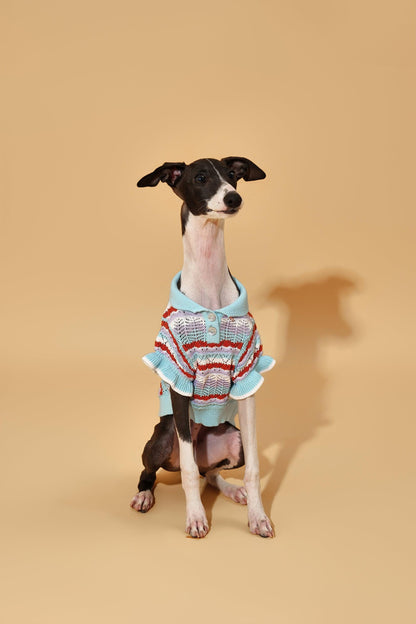 Pet & Me Spring Summer Ocean Blue Ruffle Crochet Short Sleeve Polo Shirt on dog — pet accessory close-up | Cutie Paw Co.