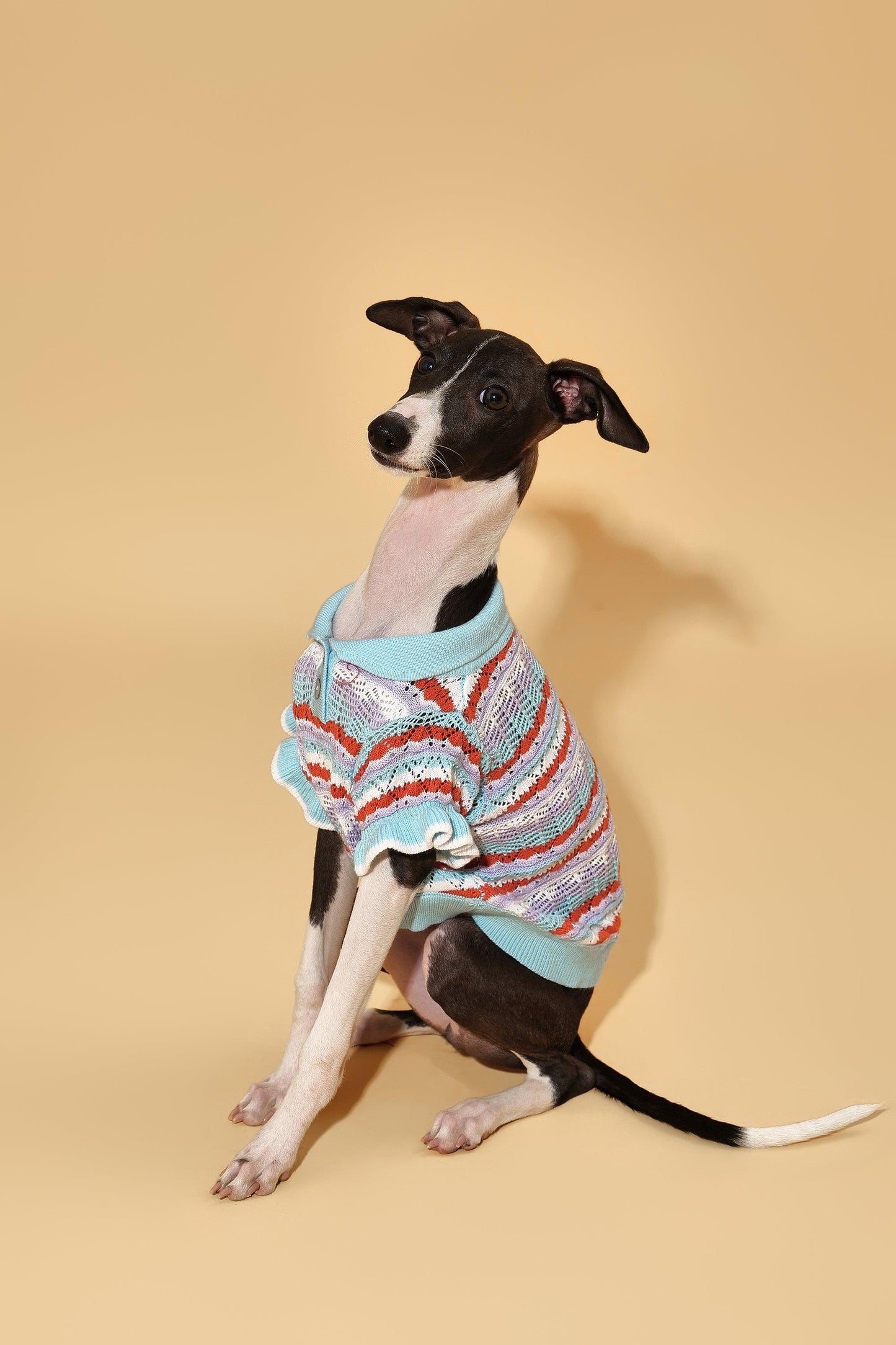 Pet & Me Spring Summer Ocean Blue Ruffle Crochet Short Sleeve Polo Shirt detail view | Cutie Paw Co.