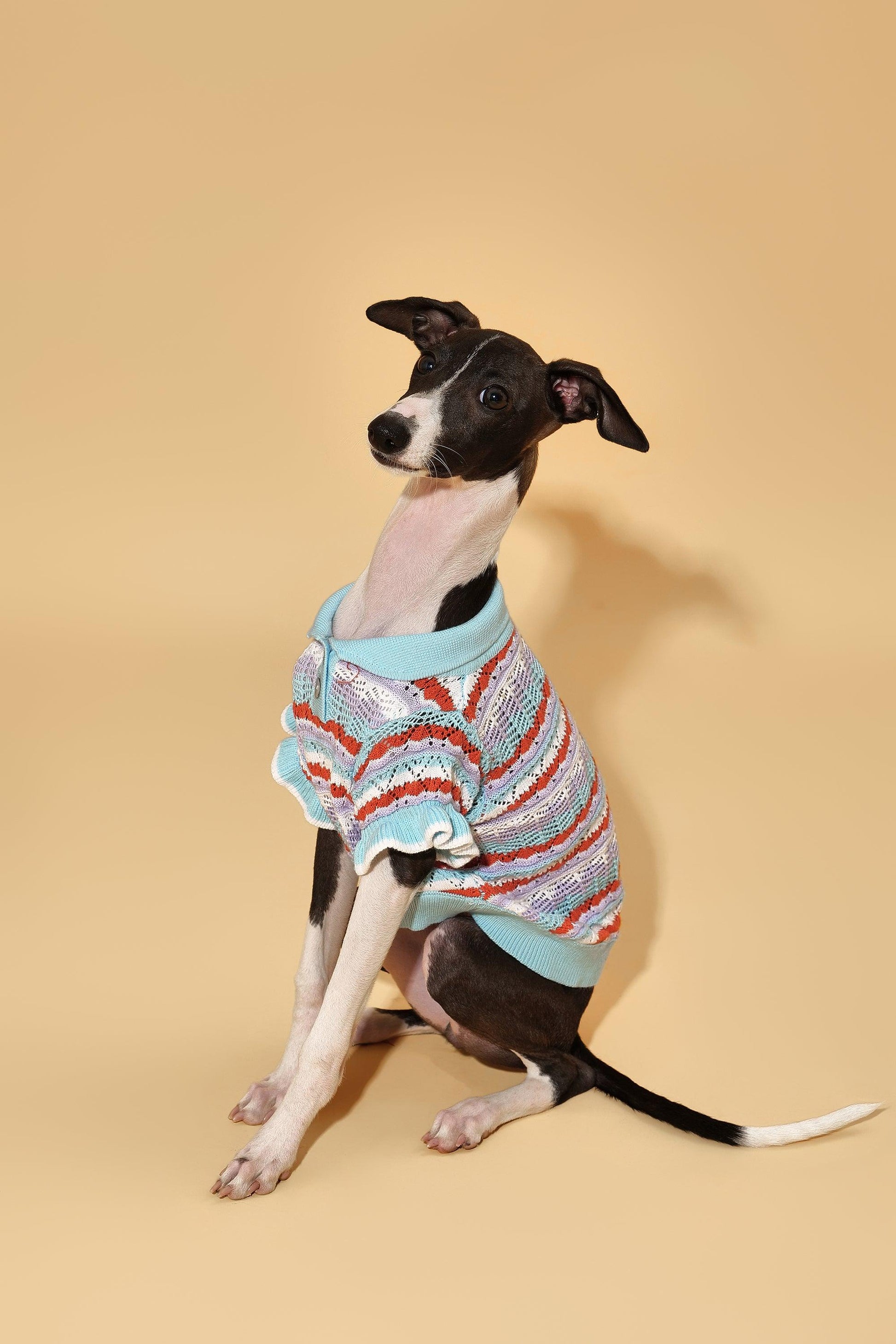 Pet & Me Spring Summer Ocean Blue Ruffle Crochet Short Sleeve Polo Shirt detail view | Cutie Paw Co.
