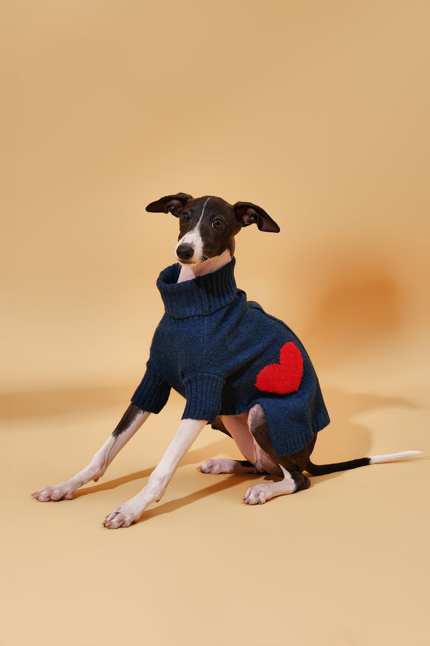 Heart to Heart Button on dog — pet accessory close-up | Cutie Paw Co.