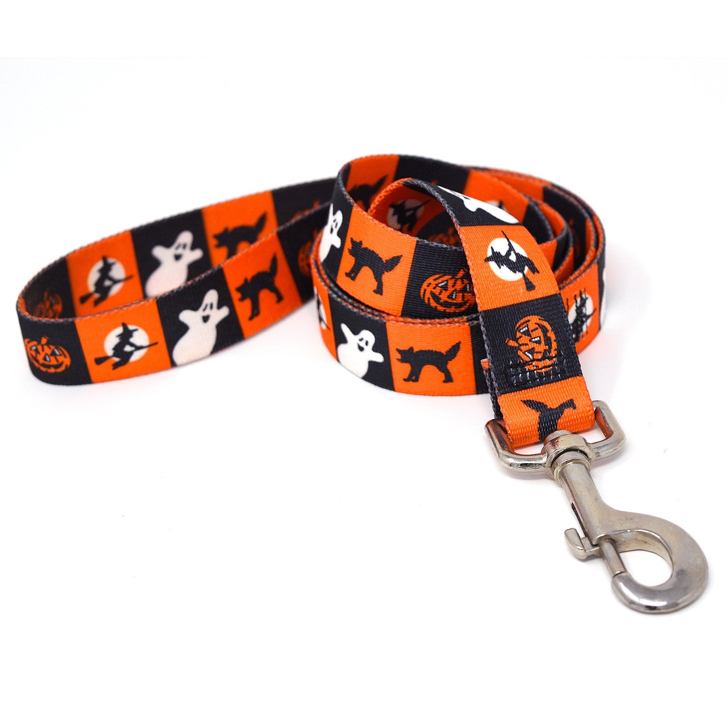Pumpkin Patch Dog Leash | Cutie Paw Co.