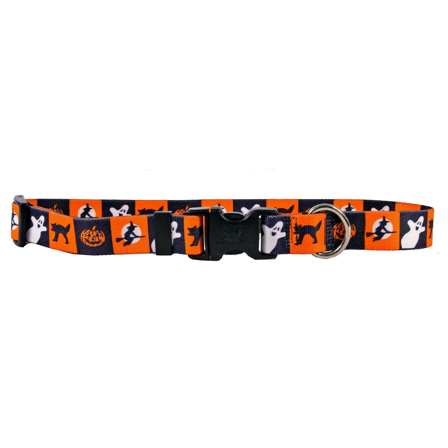 Pumpkin Patch Dog Collar on dog — dog collar close-up | Cutie Paw Co.