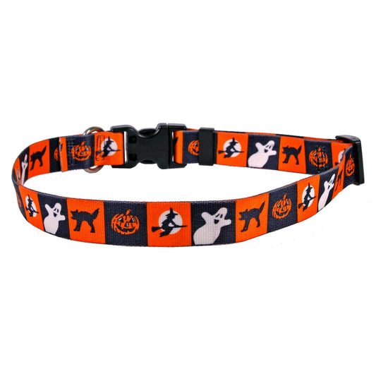 Pumpkin Patch Dog Collar
