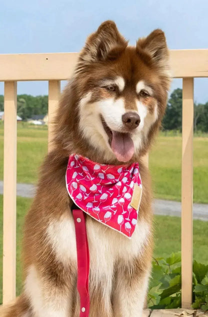 Red Mountain Syrah Dog Bandana & Matching Keychain detail view | Cutie Paw Co.
