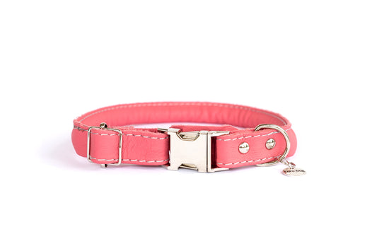 Pink Rolled Leather Dog Collar — Quick Release