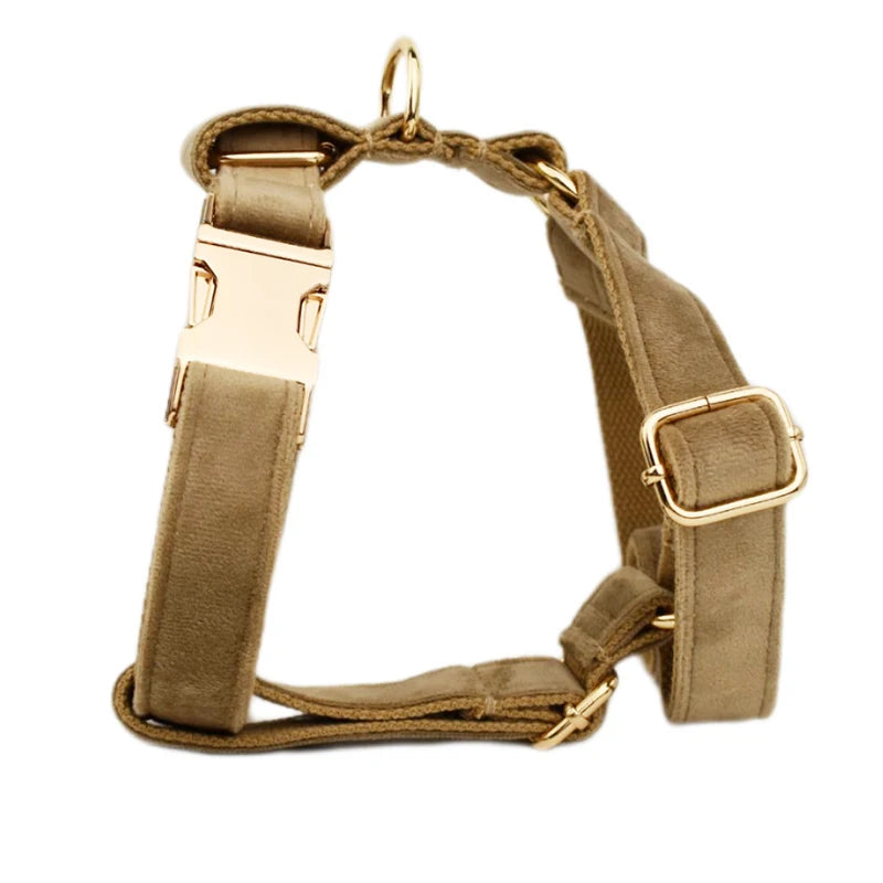 Shallow khaki Velvet Dog Collar And Leash Set For Dogs Custom Engraved Nameplate Pet Supplies Dog Leash Velvet 19