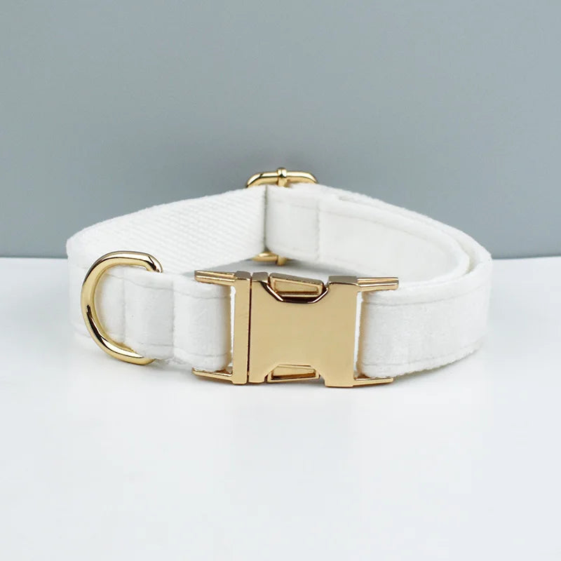 Velvet Collar