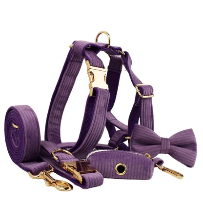 Epic Corduroy Dog Collar & Leash Set