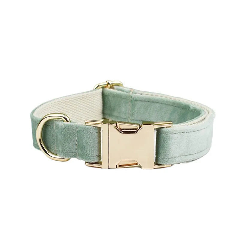 Mint Green Velvet Dog Collar & Leash Set