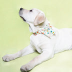 Watercolor Floral Dog Bowtie Collar Pet Flower Doggy bandana with Matching Leash