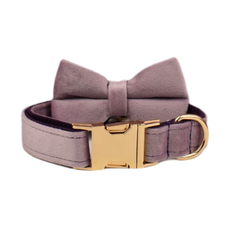 Shimmer Purple Collar and Harness Set