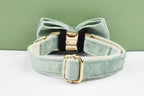 Mint Green Velvet Dog Collar And Leash Set For Dogs Custom Engraved Nameplate Pet Supplies Dog Leash Velvet 17