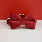 Velvet Collar