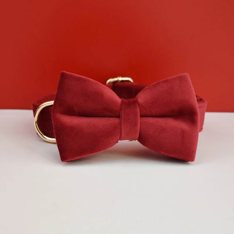 Velvet Collar