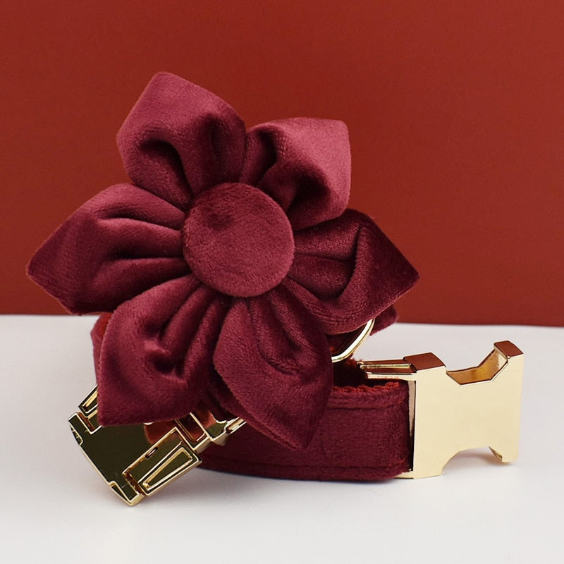 Red Wine Velvet Harness, Collar, and Leash Set