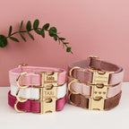 Velvet Collar