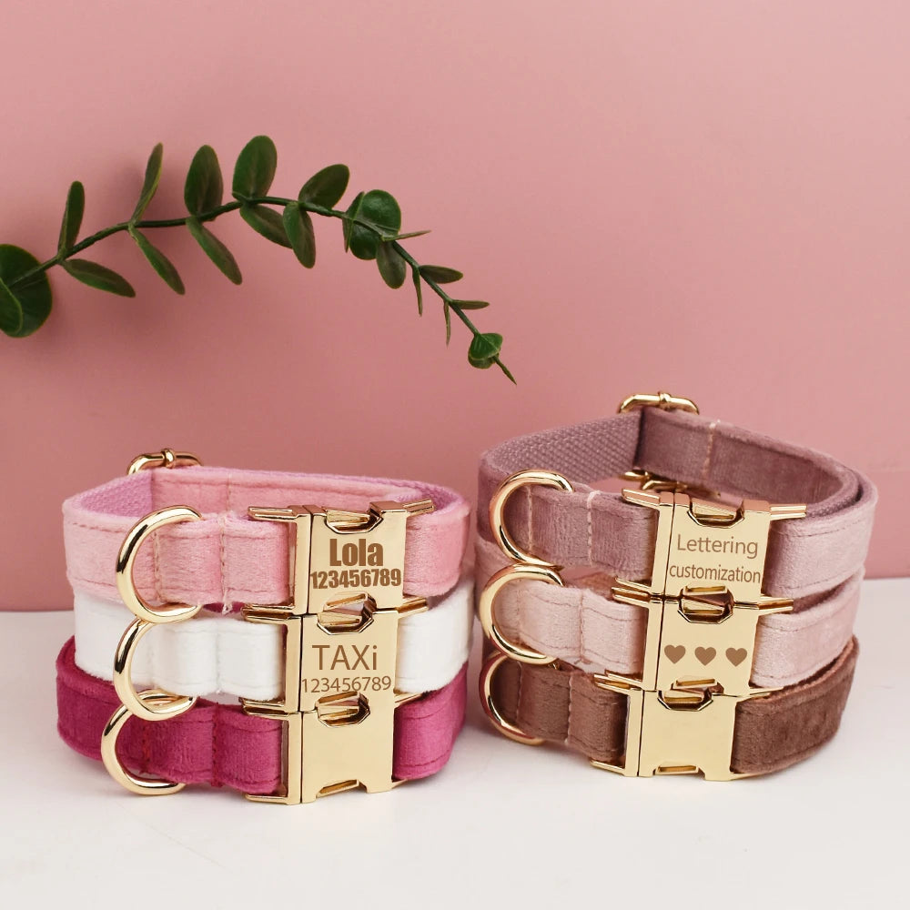 Velvet Collar | Cutie Paw Co.