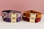 Velvet Collar