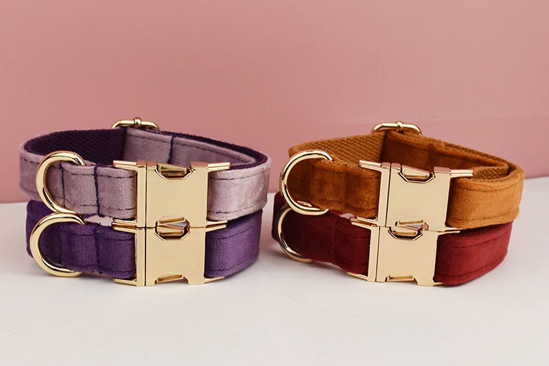 Velvet Collar