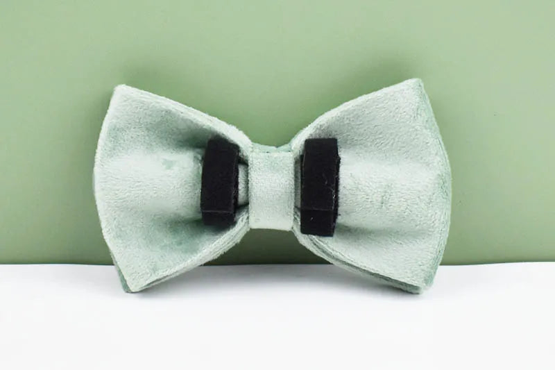 Mint Green Velvet Dog Collar And Leash Set For Dogs Custom Engraved Nameplate Pet Supplies Dog Leash Velvet 17