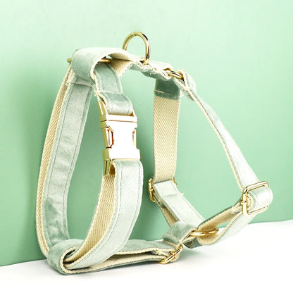 Mint Green Velvet Dog Collar & Leash Set