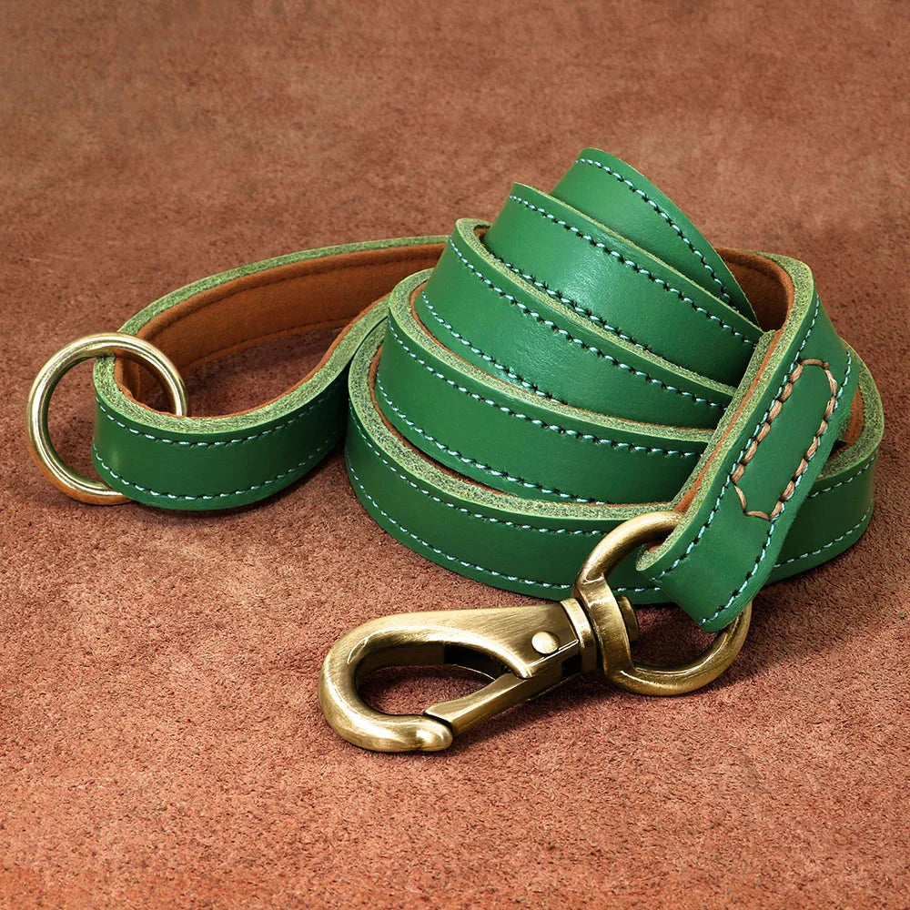 The Classic Leather Lead on dog — dog leash close-up | Cutie Paw Co.