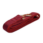 Red Wine Velvet Harness, Collar, and Leash Set