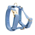 Personalized Dog Collar Name Harness Leash Set for Small Medium Dog Collar Harness Custom Free Engrave Name Dog Poop Bag Holder