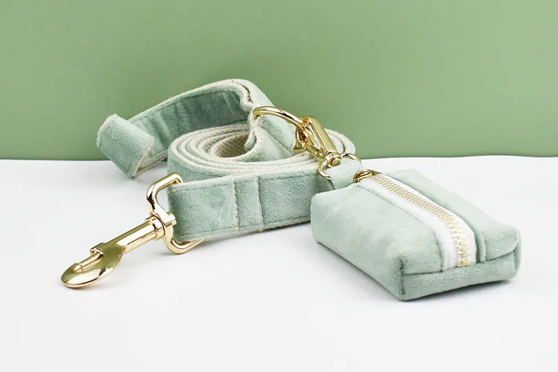 Mint Green Velvet Dog Collar & Leash Set