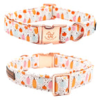 Pretty Pumpkin Patch Collar and Leash