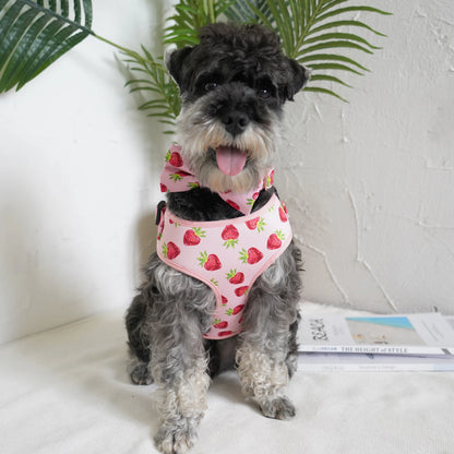 Strawberry Floral Dog Collar & Leash Set