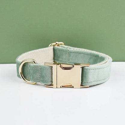 Mint Green Velvet Dog Collar & Leash Set