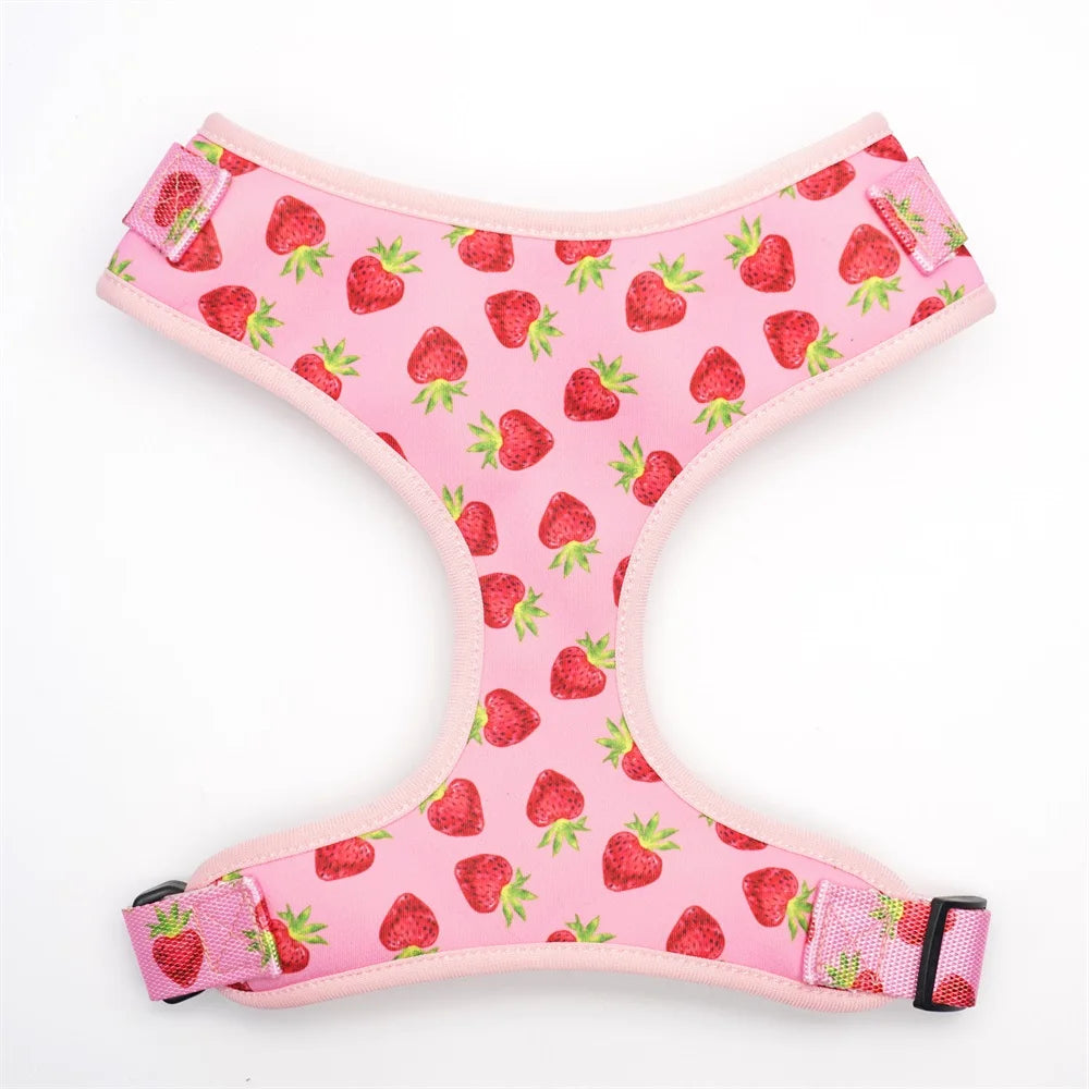 Strawberry Girly Dog Collar Flower with Matching Leash and Harness