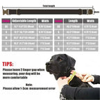 Personalized Dog Collar with Free Engraving, Matching Pet Leash,Customzied Contacts Metal Buckle,Orange Purple Pumpkin Collar