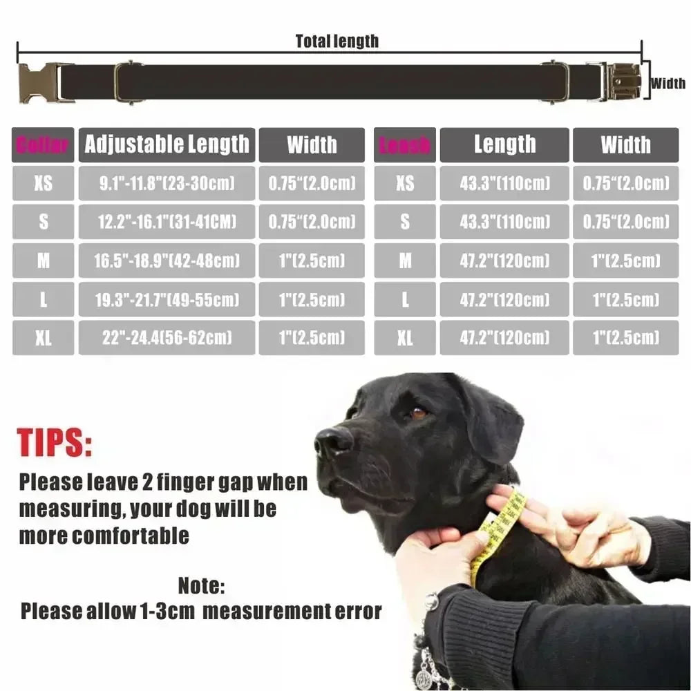 Personalized Dog Collar with Free Engraving, Matching Pet Leash,Customzied Contacts Metal Buckle,Orange Purple Pumpkin Collar