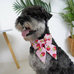 Strawberry Girly Dog Collar Flower with Matching Leash and Harness