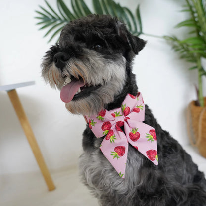 Strawberry Floral Dog Collar & Leash Set