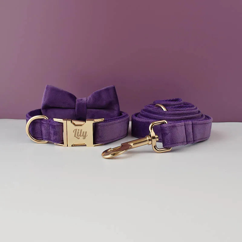 Velvet Collar