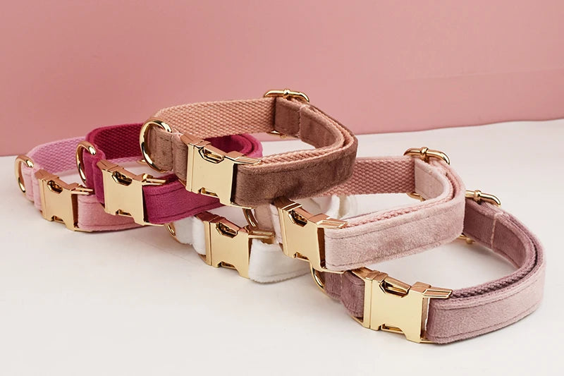 Velvet Collar