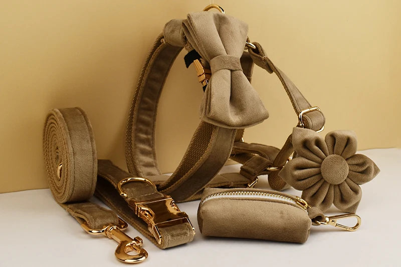 Shallow khaki Velvet Dog Collar And Leash Set For Dogs Custom Engraved Nameplate Pet Supplies Dog Leash Velvet 19