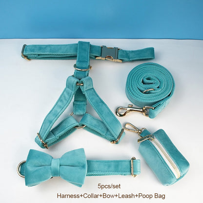 Everly Turquoise Harness, Collar, and Leash Set