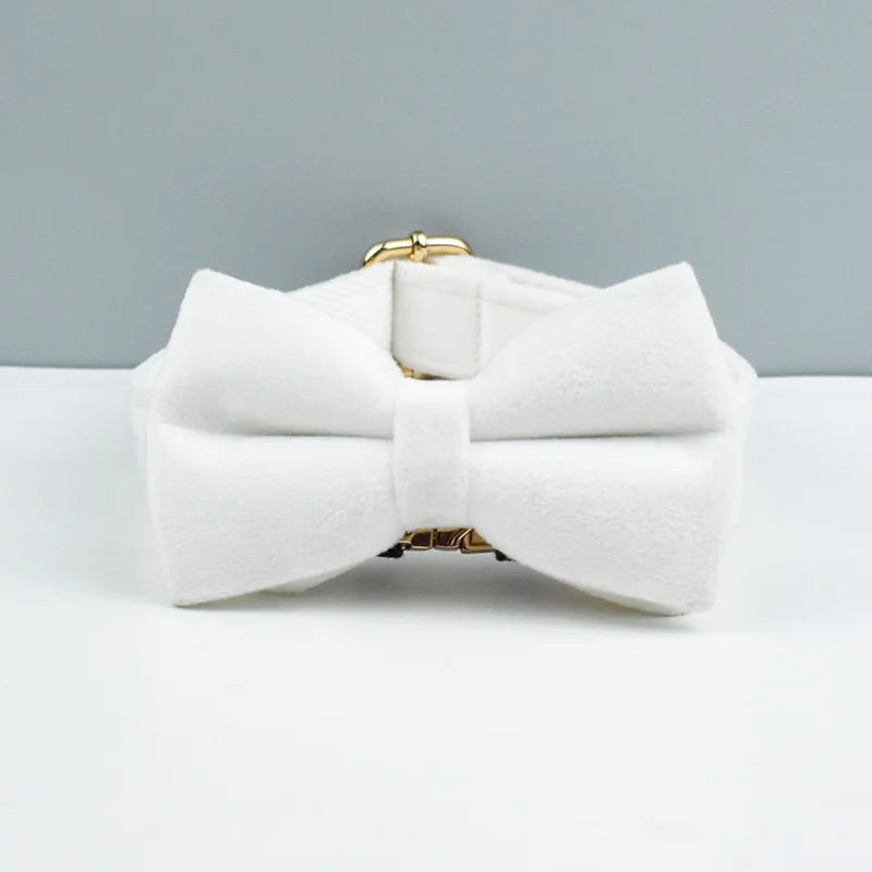 Velvet Collar
