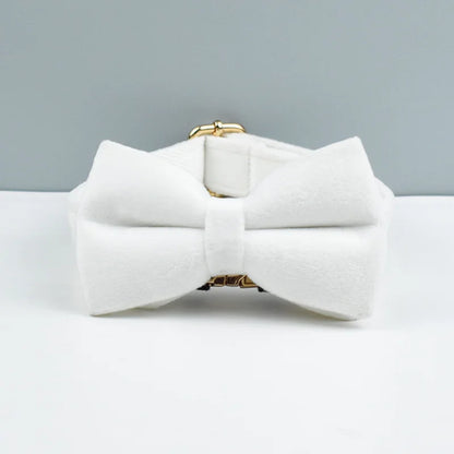 Velvet Collar