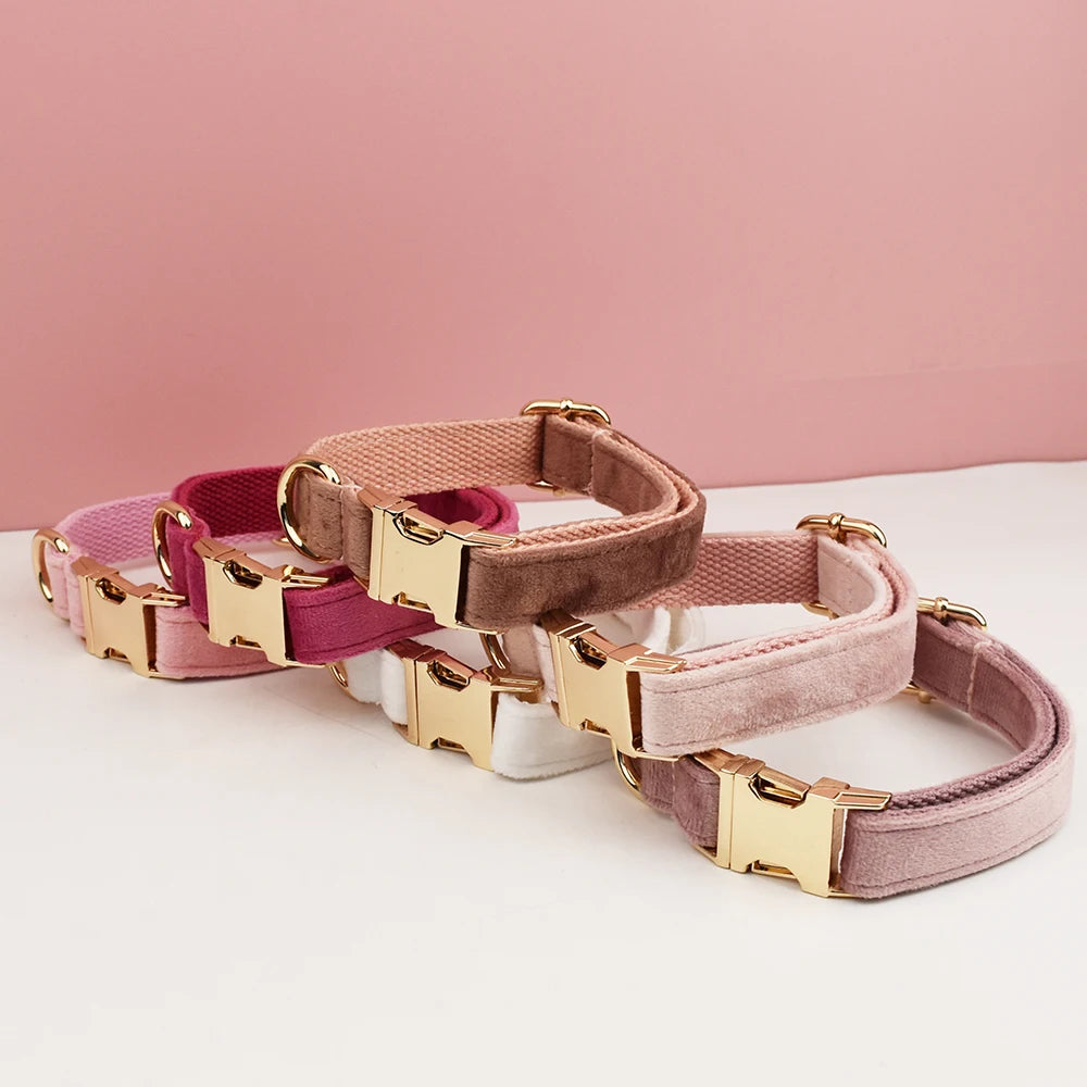 Velvet Collar