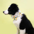 Watercolor Floral Dog Bowtie Collar Pet Flower Doggy bandana with Matching Leash