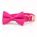 Barbie Collar and Leash Set