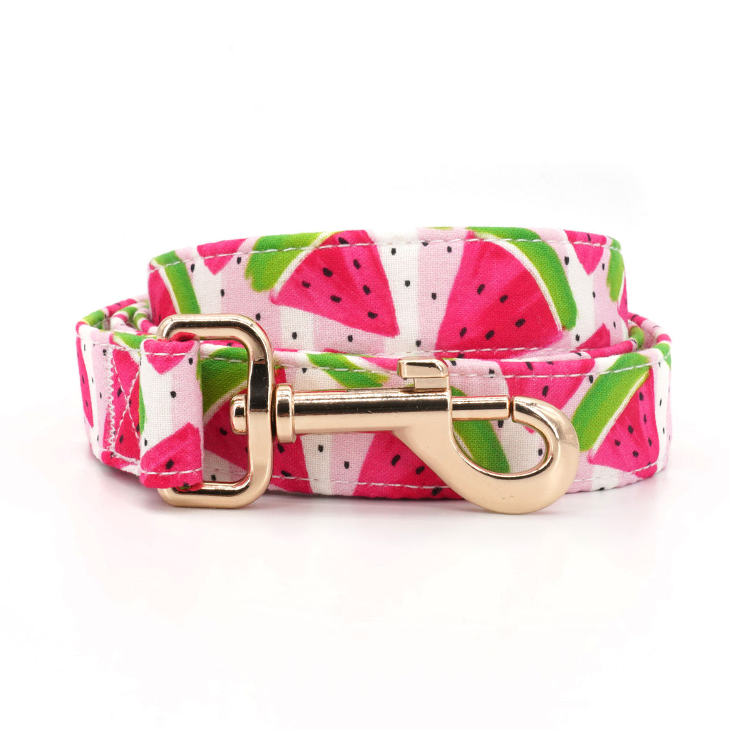 Summer Watermelon Collar, Leash, and Bow